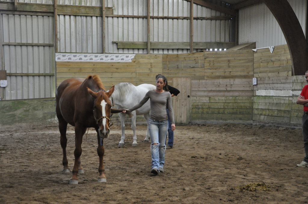 DSC9632.JPG