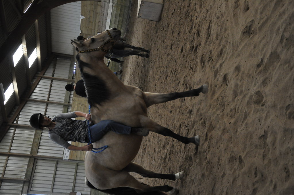 DSC9652.JPG