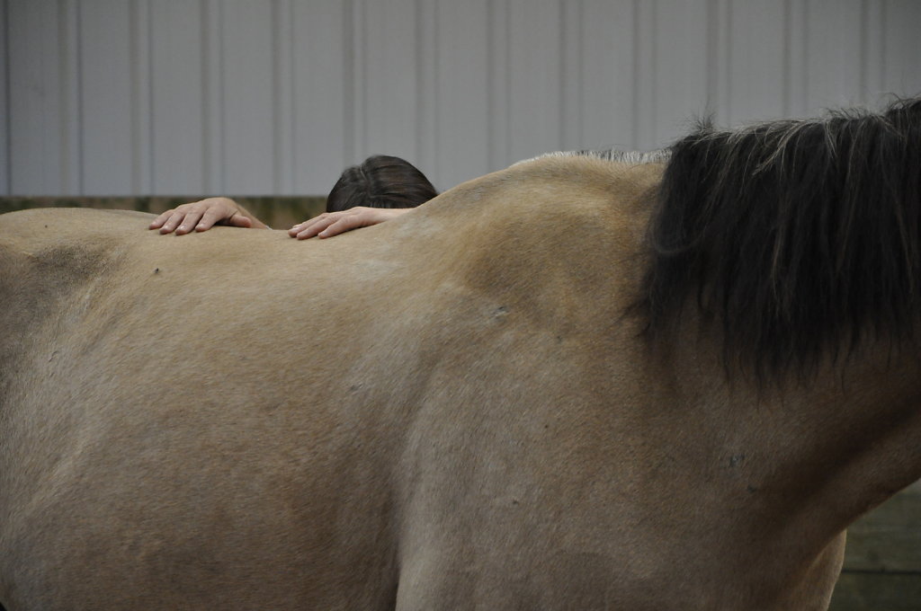 DSC9506.JPG