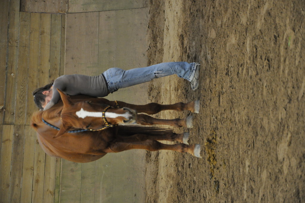 DSC9511.JPG