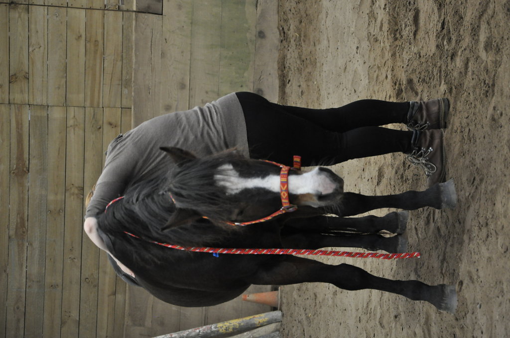 DSC9512.JPG
