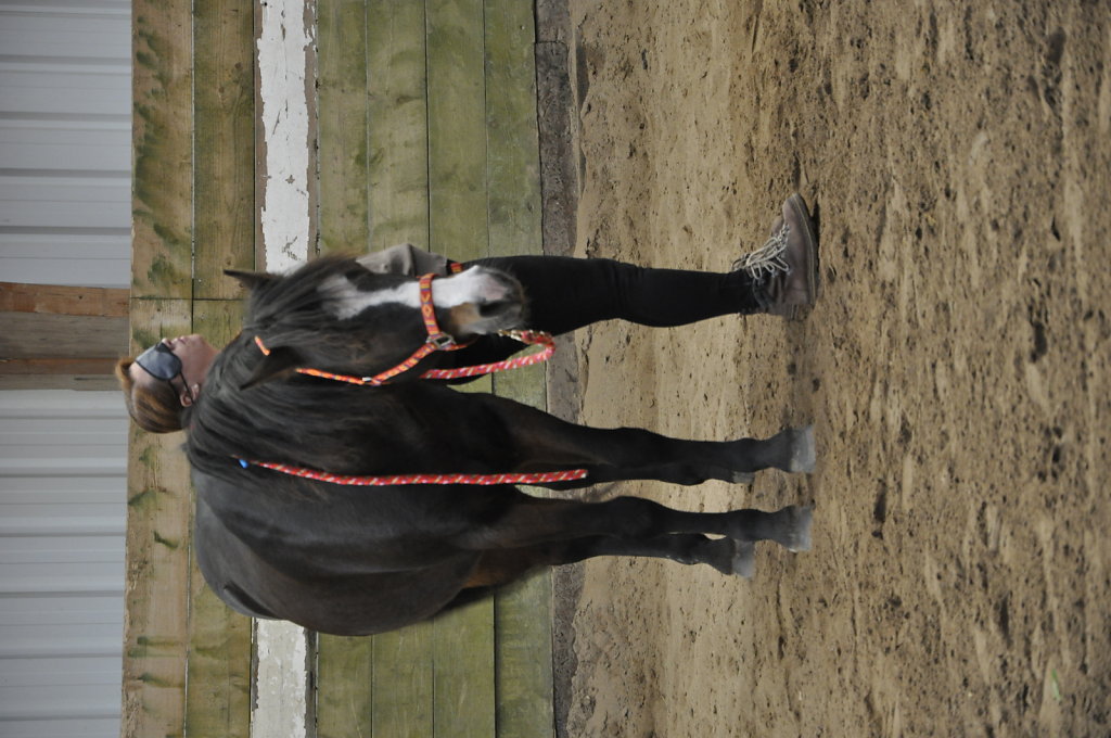 DSC9520.JPG