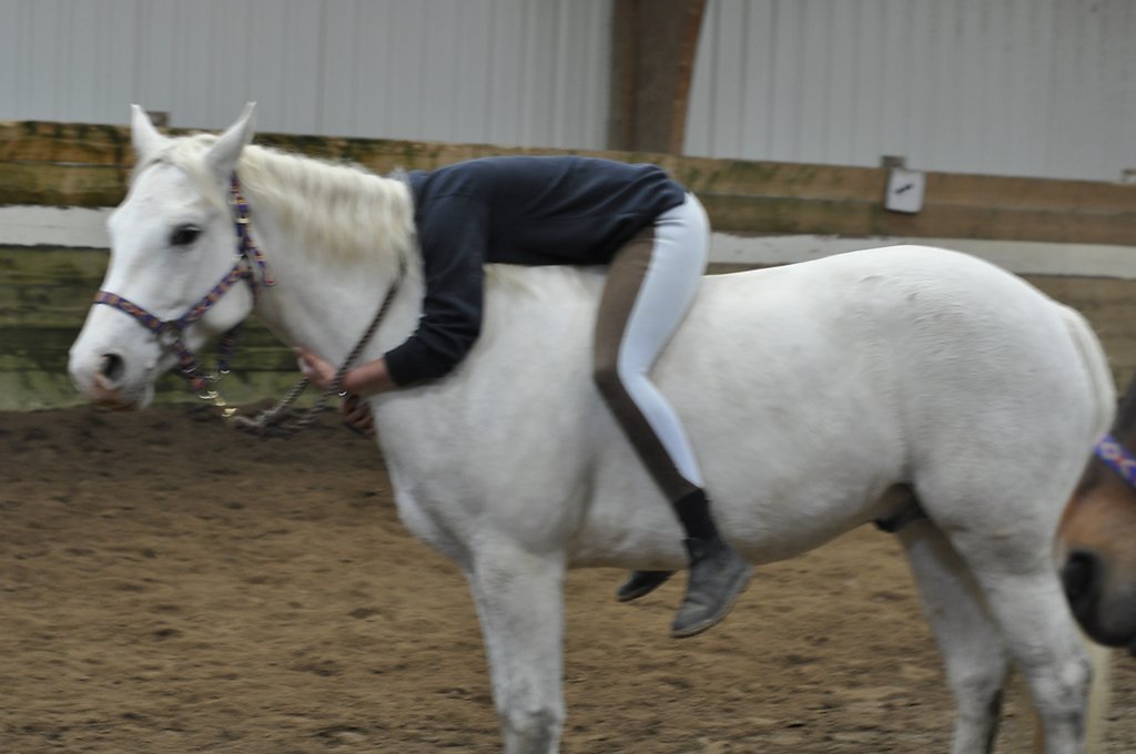 DSC8337.JPG