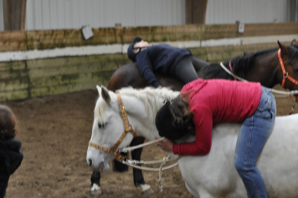 DSC8341.JPG