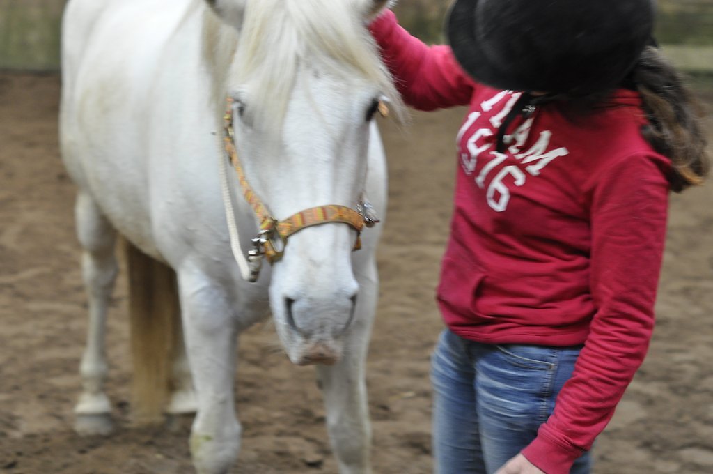 DSC8342.JPG