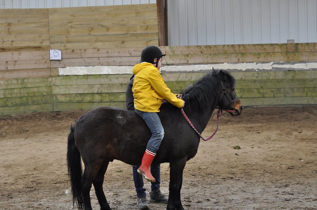 DSC8133.JPG