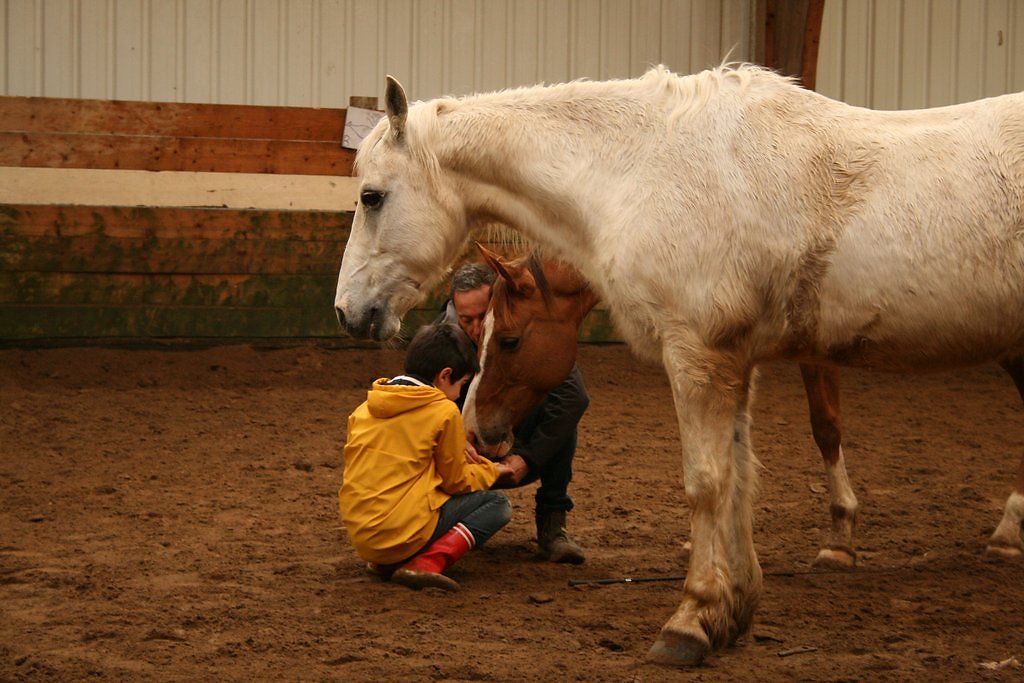 IMG-5036.JPG