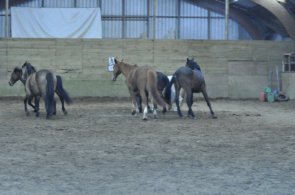 DSC8349.JPG