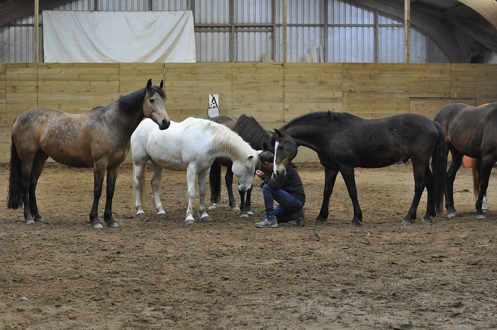 DSC8353.JPG