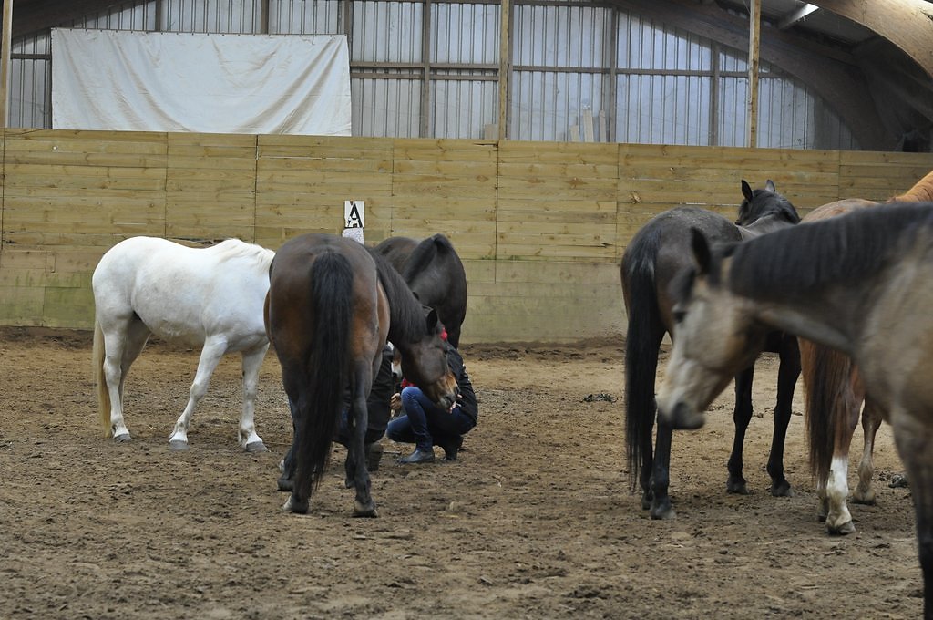 DSC8355.JPG