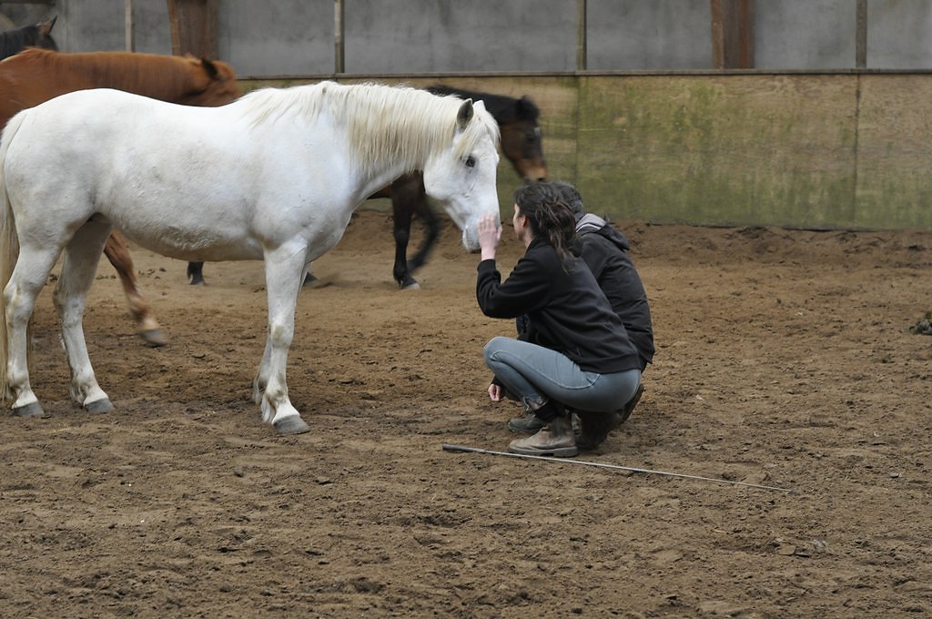 DSC8358.JPG
