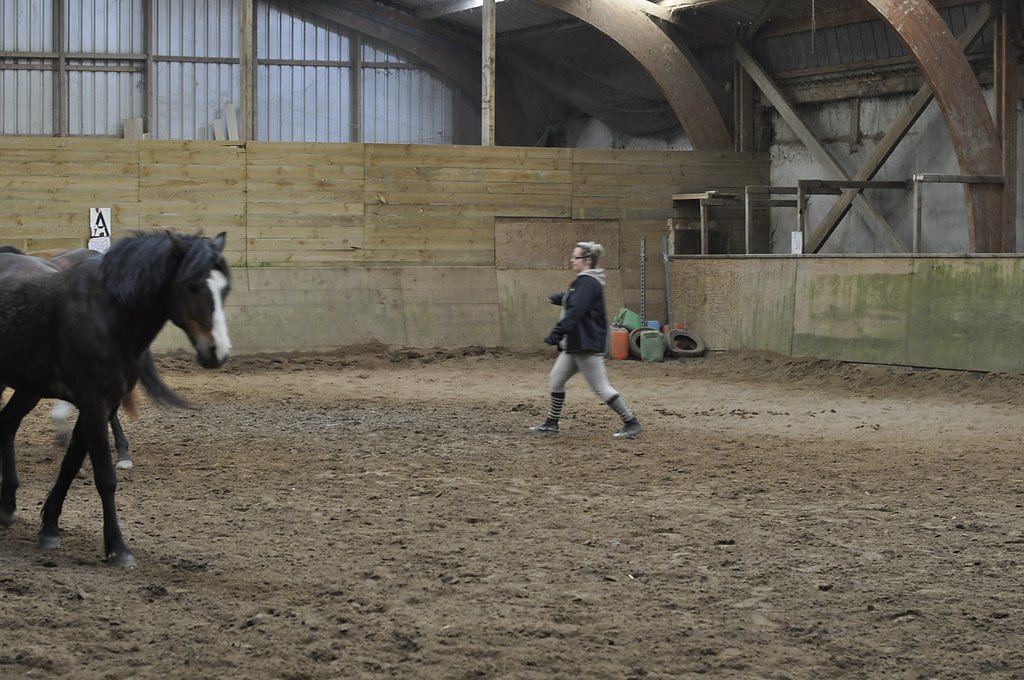 DSC8365.JPG