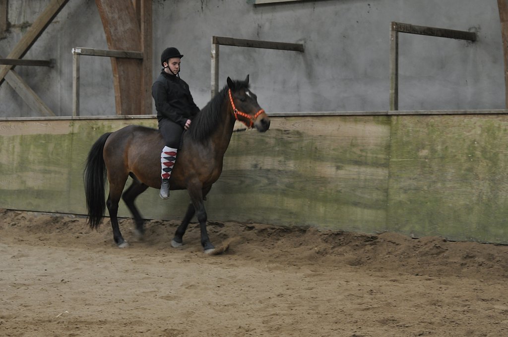 DSC8547.JPG