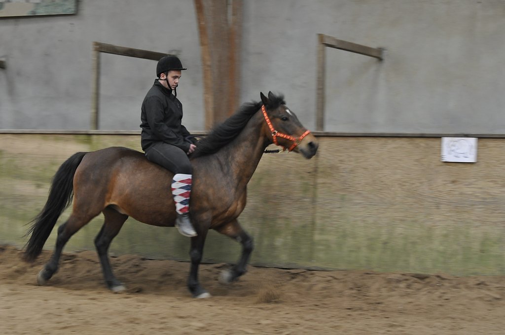 DSC8548.JPG