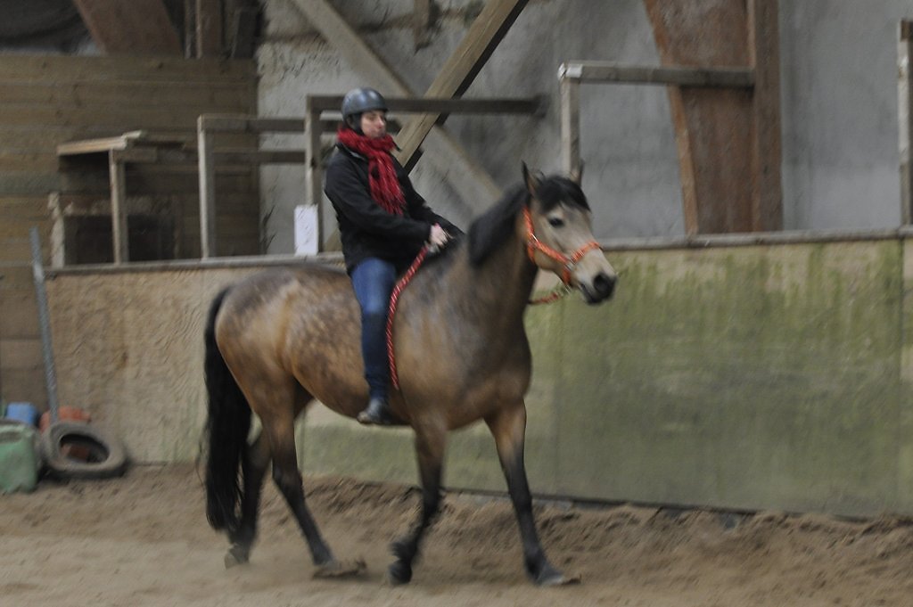 DSC8553.JPG