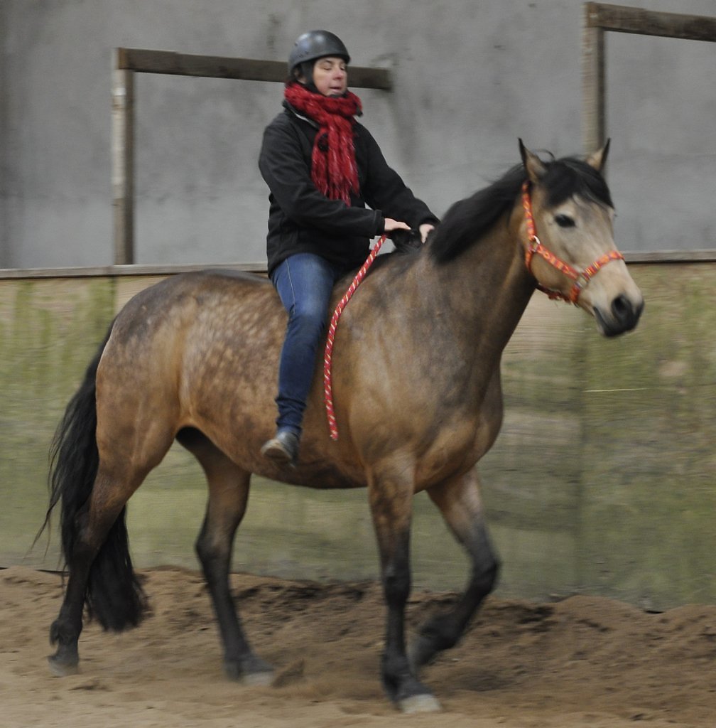 DSC8554.JPG