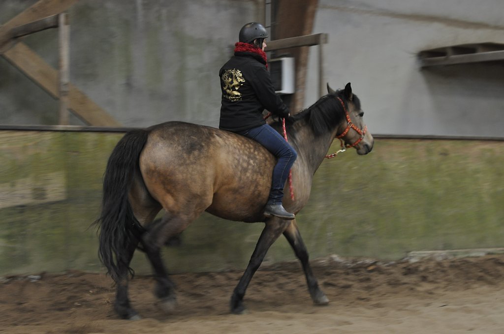 DSC8555.JPG