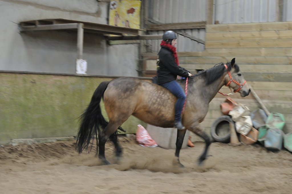 DSC8556.JPG