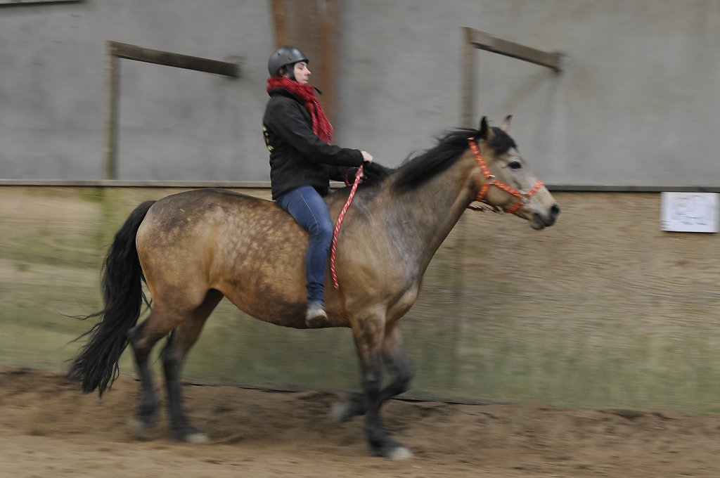 DSC8559.JPG