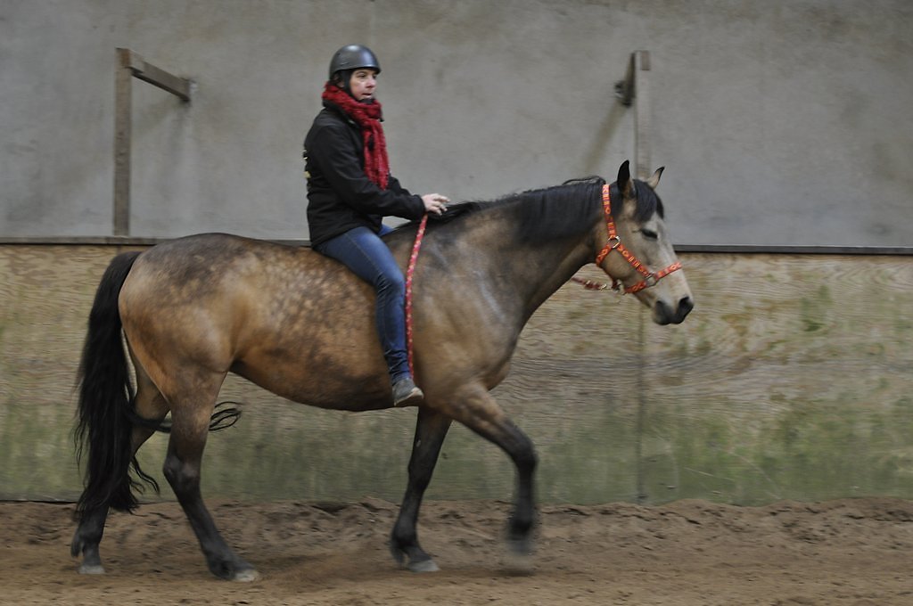 DSC8561.JPG