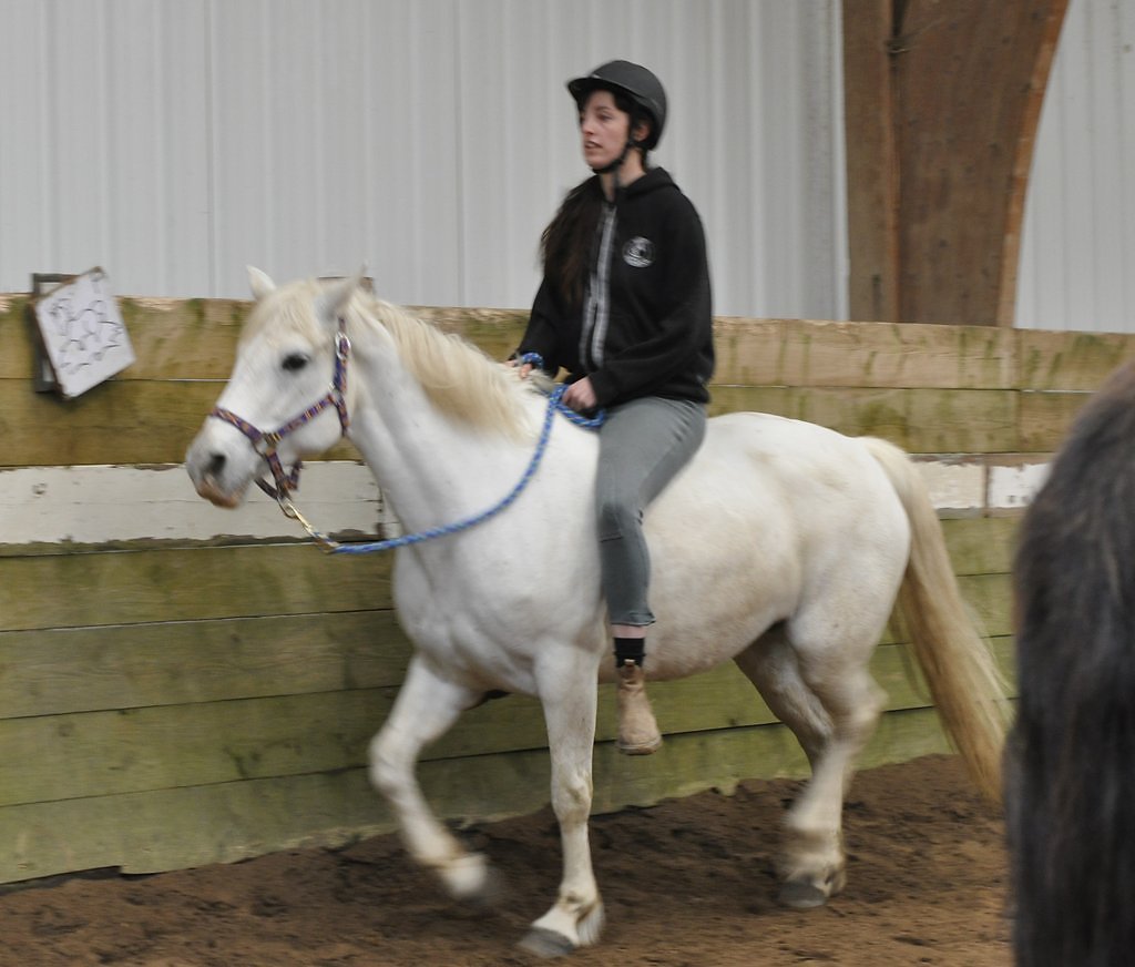 DSC8563.JPG