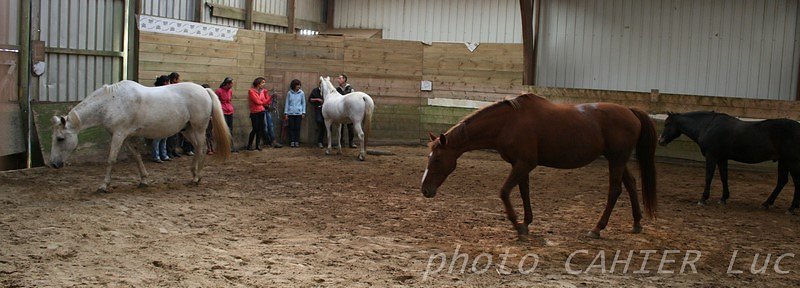 IMG-8430.JPG