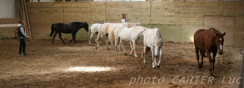 IMG-8433.JPG