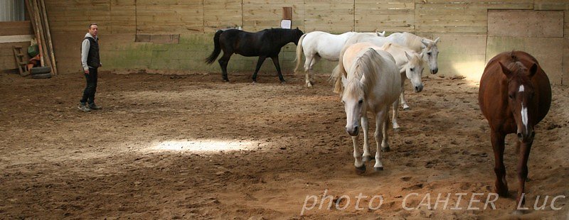 IMG-8434.JPG