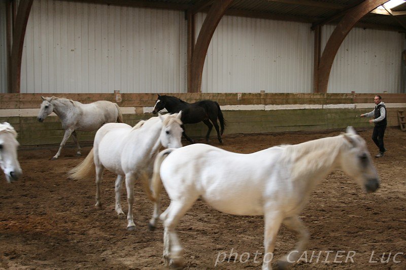 IMG-8436.JPG