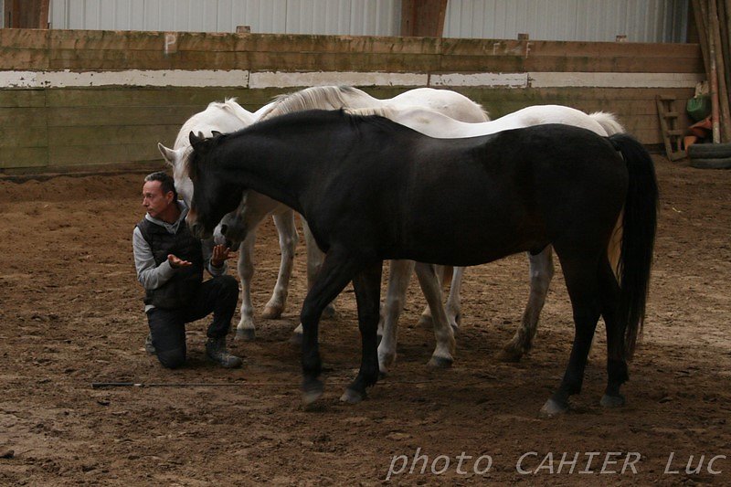 IMG-8437.JPG
