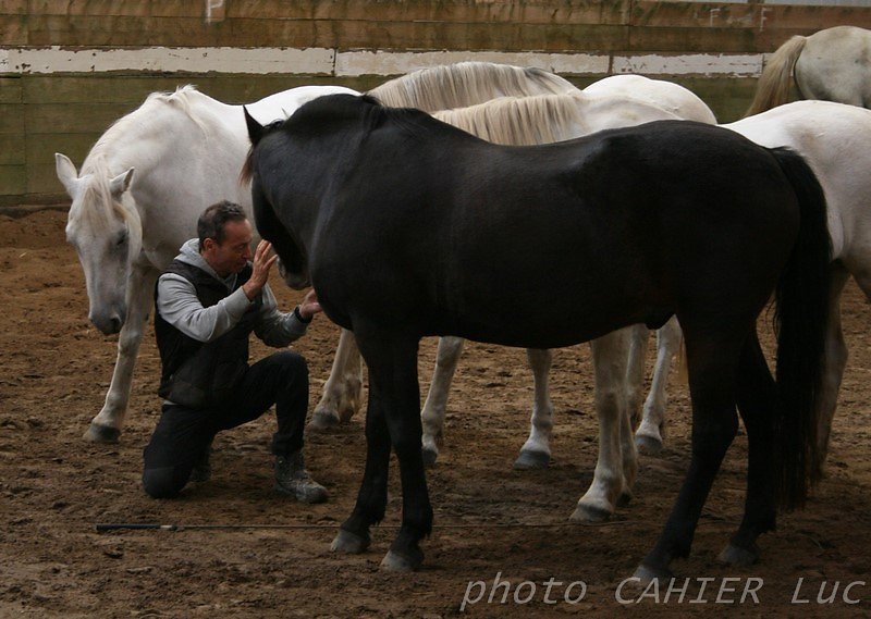 IMG-8439.JPG