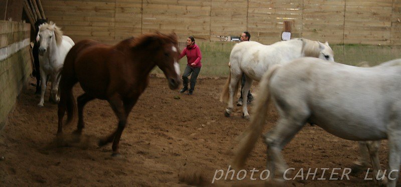 IMG-8443.JPG
