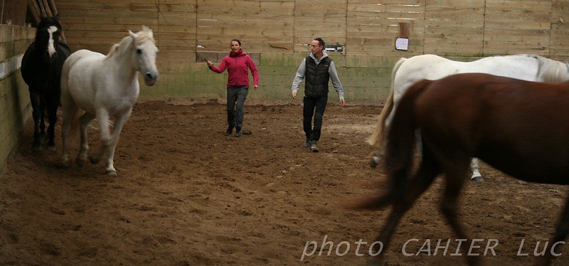 IMG-8444.JPG