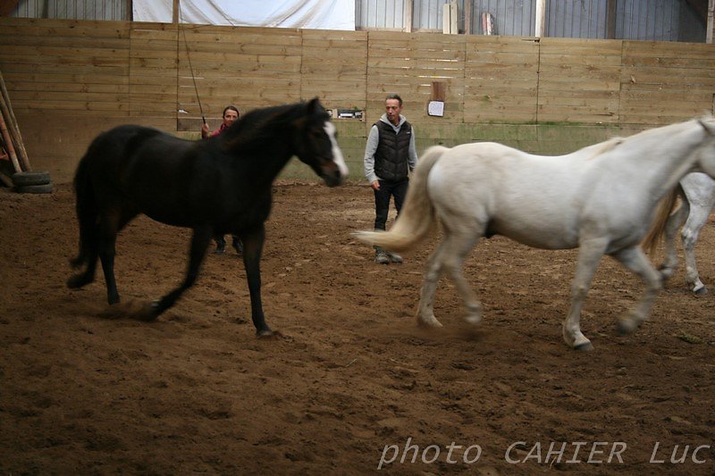 IMG-8445.JPG