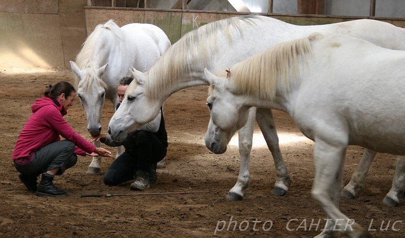 IMG-8446.JPG