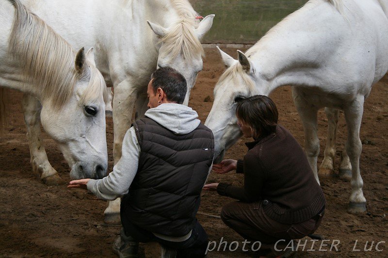 IMG-8460.JPG
