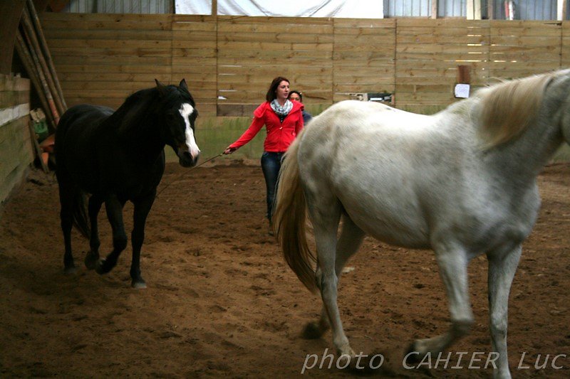 IMG-8468.JPG