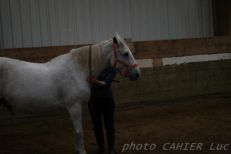IMG-8496.JPG