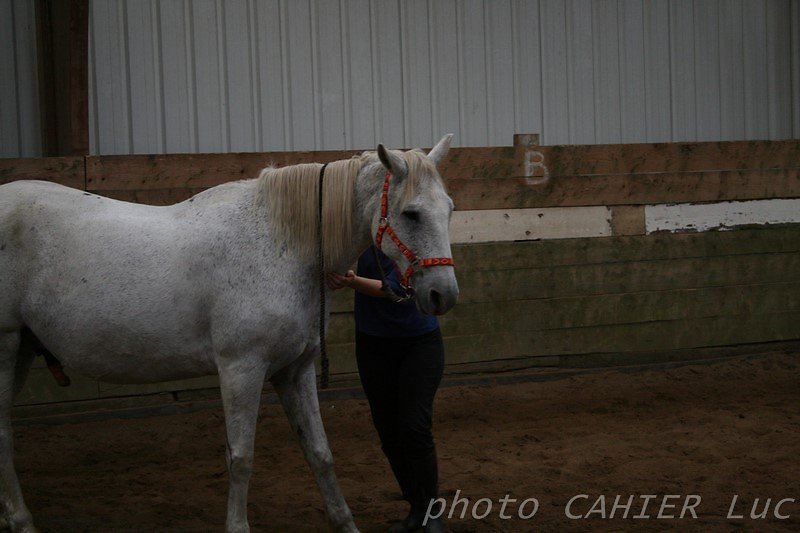 IMG-8497.JPG