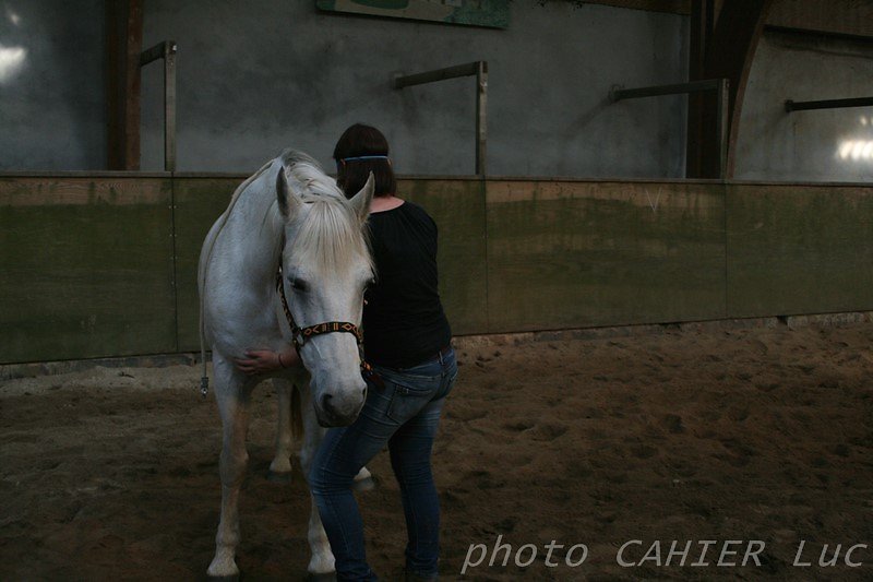 IMG-8513.JPG