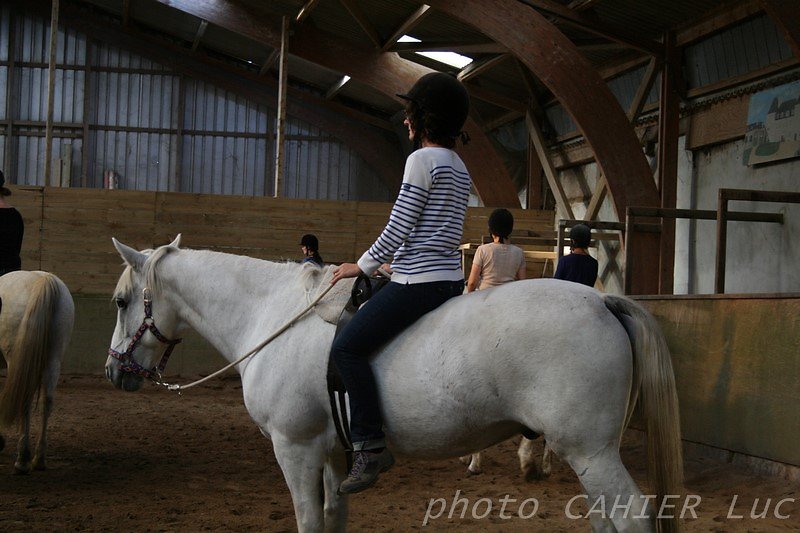 IMG-8581.JPG