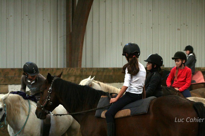 IMG-9941.jpg