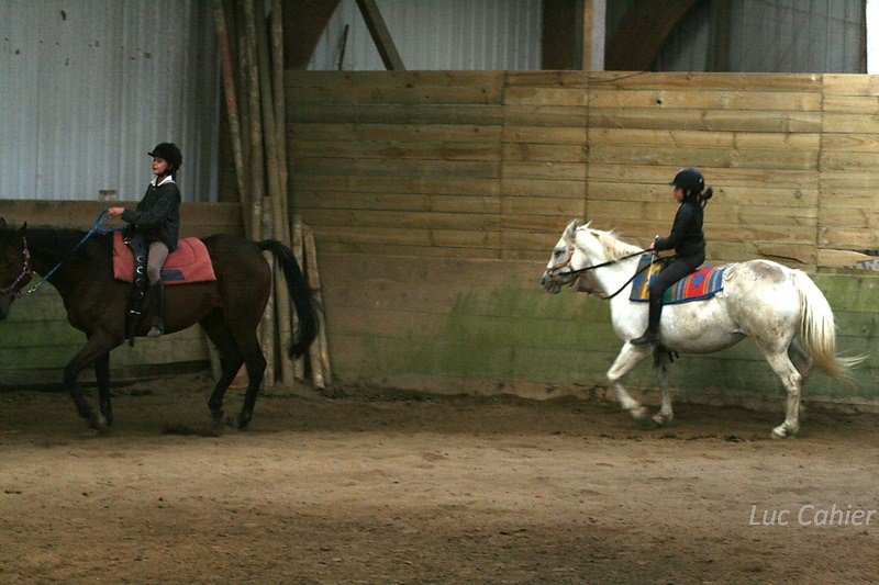 IMG-9944.jpg