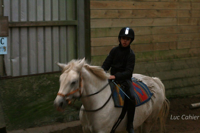 IMG-9945.jpg