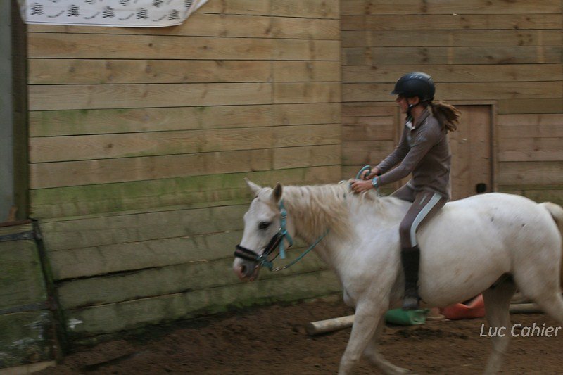 IMG-9948.jpg