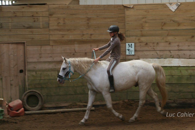 IMG-9952.jpg
