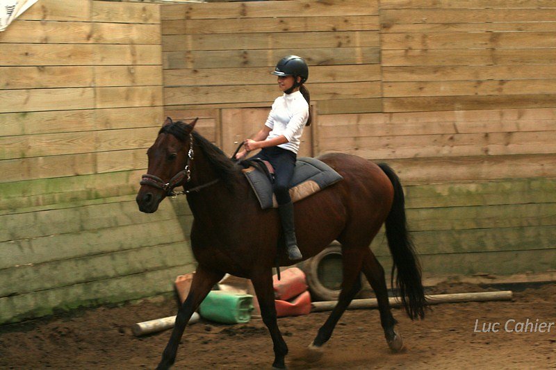 IMG-9953.jpg