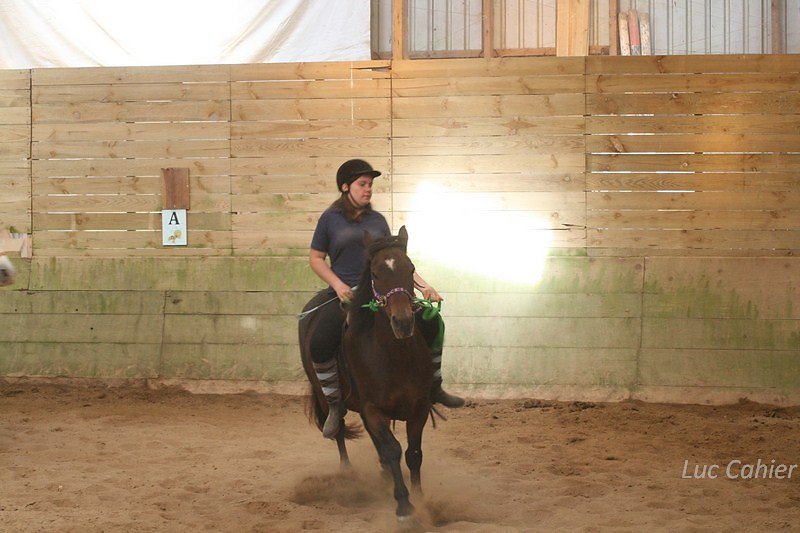 IMG-9967.jpg