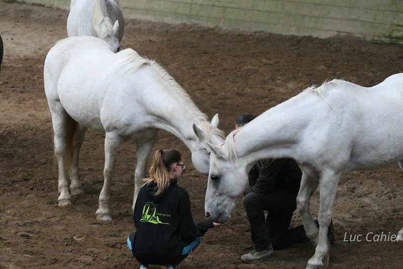 IMG-0053.jpg