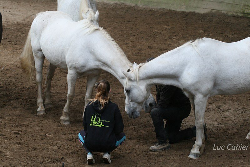 IMG-0054.jpg